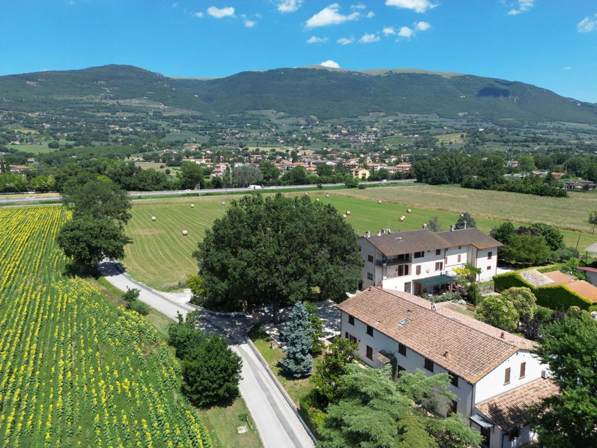 Il Quercione Agriturismo Rivotorto Exterior photo